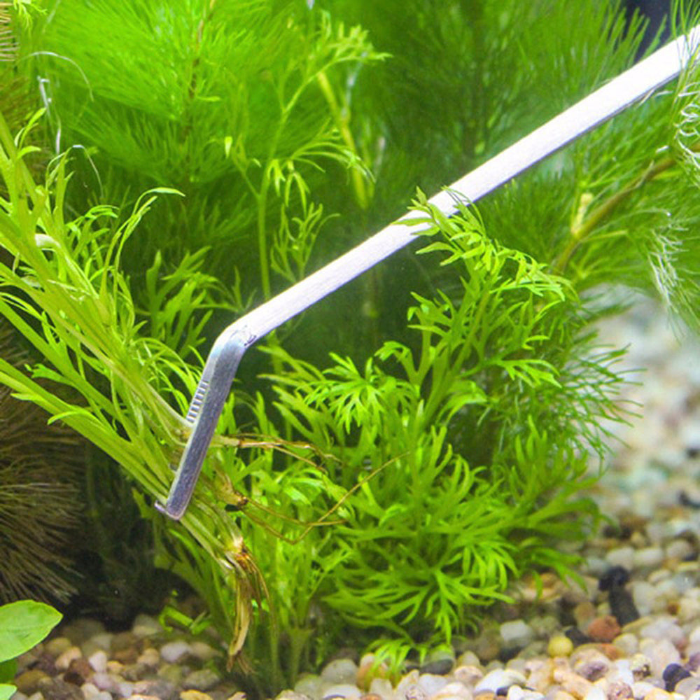 Stainless Steel Aquatic Plant Trimming Tool 5 PCS