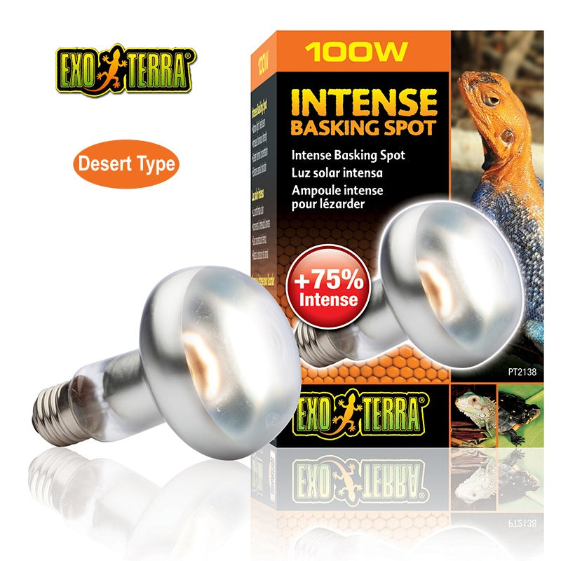 EXO-TERRA UVA Daylight Reptile Heating Lamp