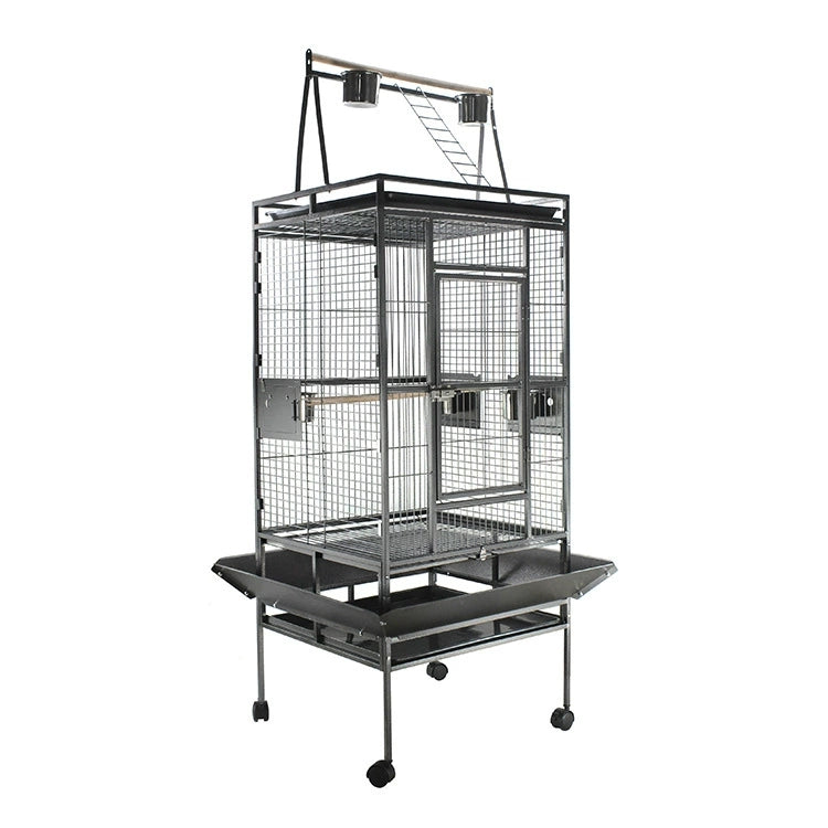 Pet Products