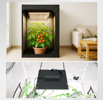 70W Plant Growth Light