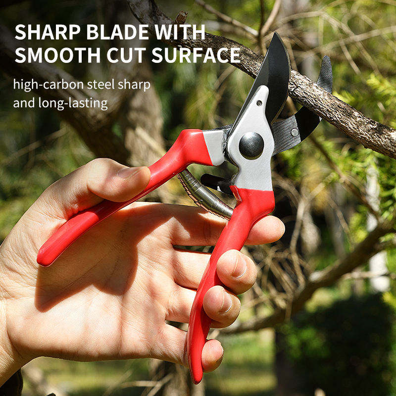 Fruit Tree Pruning Shears Gardening Scissors