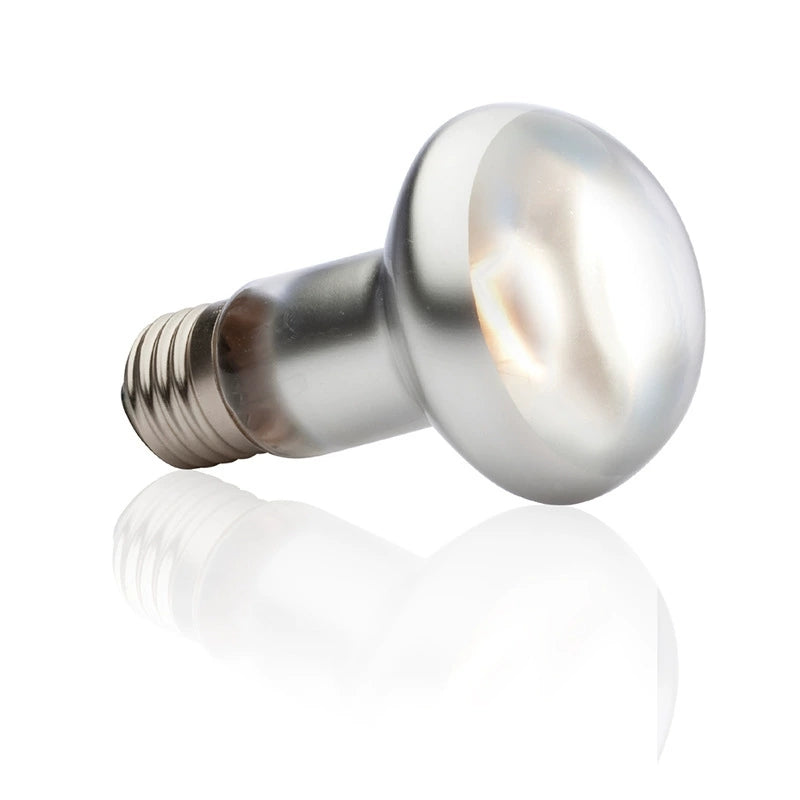 EXO-TERRA UVA Daylight Reptile Heating Lamp