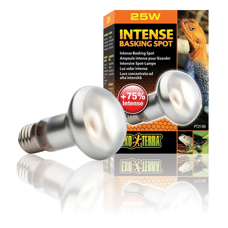 EXO-TERRA UVA Daylight Reptile Heating Lamp