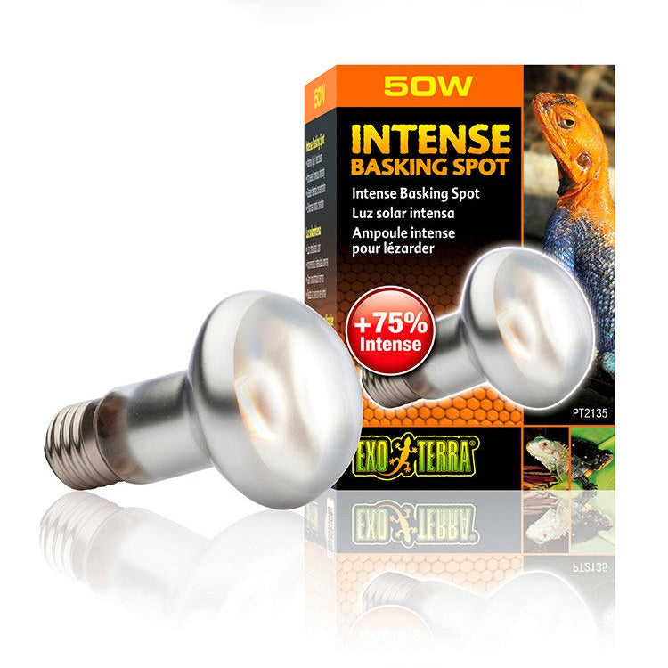 EXO-TERRA UVA Daylight Reptile Heating Lamp