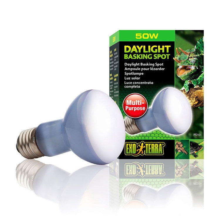 EXO-TERRA UVA Daylight Reptile Heating Lamp