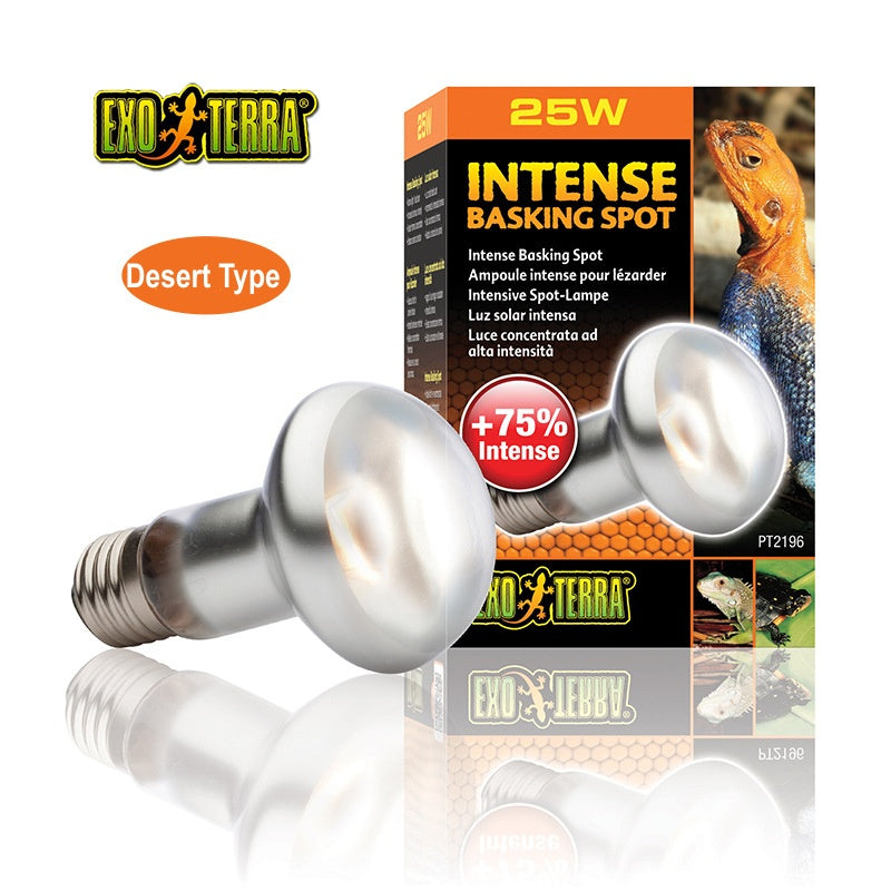 EXO-TERRA UVA Daylight Reptile Heating Lamp