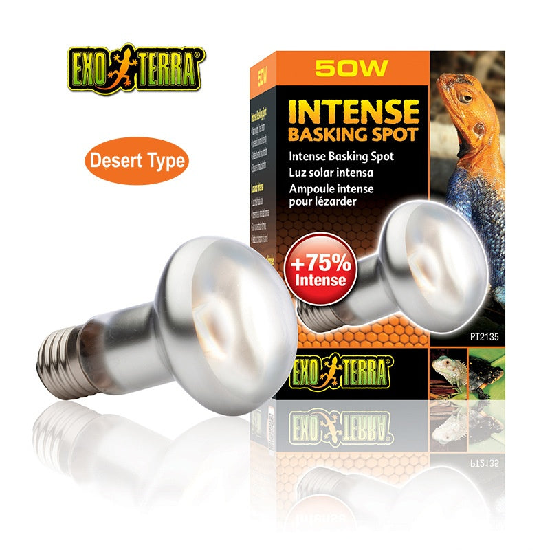 EXO-TERRA UVA Daylight Reptile Heating Lamp