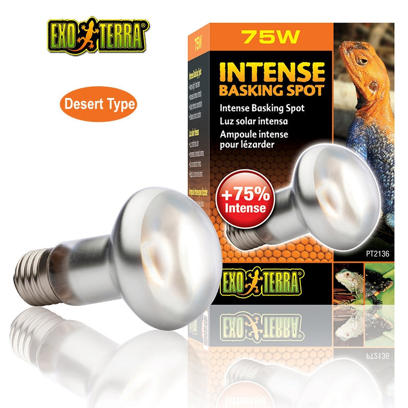 EXO-TERRA UVA Daylight Reptile Heating Lamp