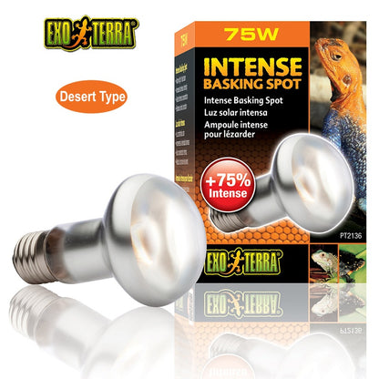 EXO-TERRA UVA Daylight Reptile Heating Lamp